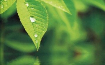 Książka – Designing a health tourism product structure model in the process of marketing management